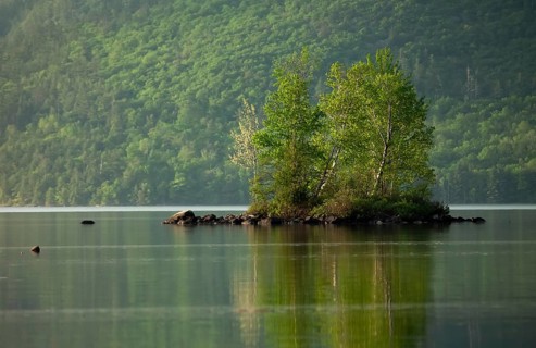 Horizontal pictures of the landscape inside Ontario's Driftwood Provincial Park located along the
