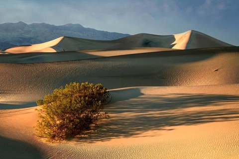 Mesquite Dunes 100-foot/30-meter-high Mesquite Flat Sand Dunes