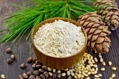 Flour cedar in a wooden bowl, cedar nuts and two cones, cedar branch with green needles on the