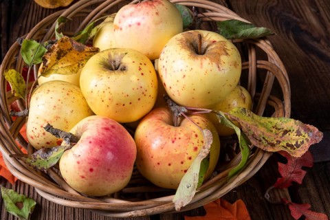 Frische und leckere bio-äpfel in einem korb