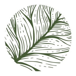 Abstract eco theme, circle with leaf veins over white