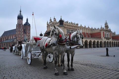 Horse and cart on the main market square in Krakow