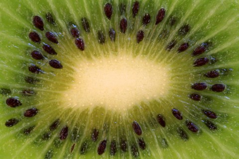 Kiwi, kiwifruit, fruit, kiwi fruit, fruits, Chinese gooseberry, (Actinidia deliciosa), slices,