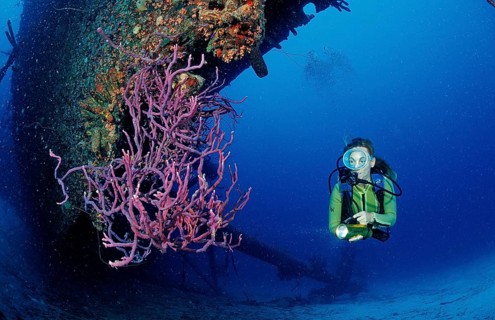 Diver at the Hilma Hooker shipwreck, Netherlands Antilles, Bonaire, Caribbean, Caribbean Sea