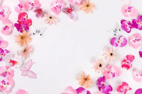 Holiday concept with flowers, spring or summer composition, still life, banner, delicate orchid
