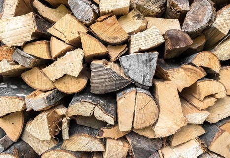 Stacked firewood in preparation for winter. Dry wood. Ideal for concepts and backgrounds