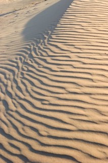 A surface of a sandy dune with traces of animals