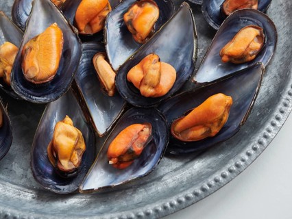 Close-up of steamed mussels open on their half shells with delicious and appetizing orange meat on