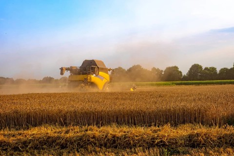Big combine harvester threshing in the sunset