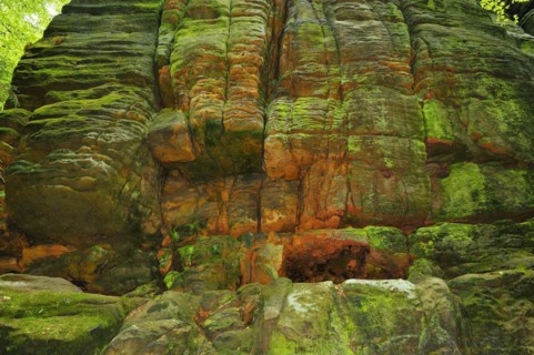 Sandstone on the Malerweg, in Uttewalder Grund, Saxon Switzerland.Saxon switzerland