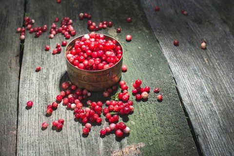Cranberries in einer Schüssel
