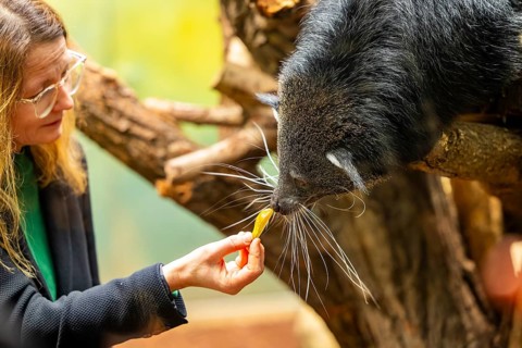 Animal inventory at Dresden Zoo At the turn of the year, all of the zoo's animal inhabitants are