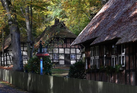 Heath Museum in the Town Walsrode, Lower Saxony, Germany. Heath Museum in autumn in the town of