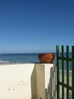 Still life on the beach