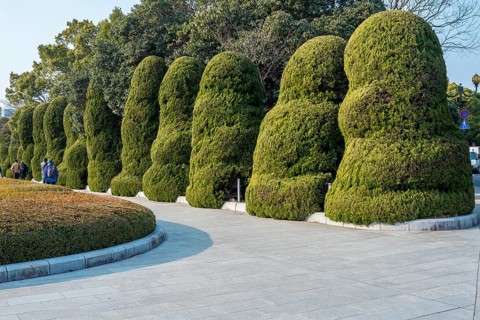 Artfully pruned bushes in Hiroshima Peace Park