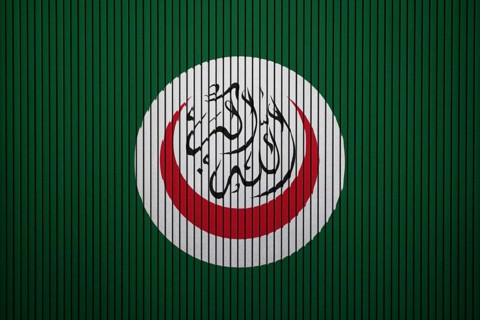 OIC Flag painted on the cracked grunge concrete wall, Organisation of Islamic Cooperation