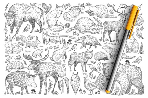 Forest wild animals doodle set. Collection of hand drawn deer fox bear rabbit squirrel raccoon