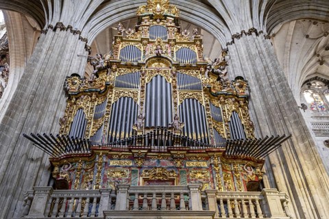 Gospel organ, built by Pedro de Echevarria in 1744, Cathedral of the Assumption of the Virgin,