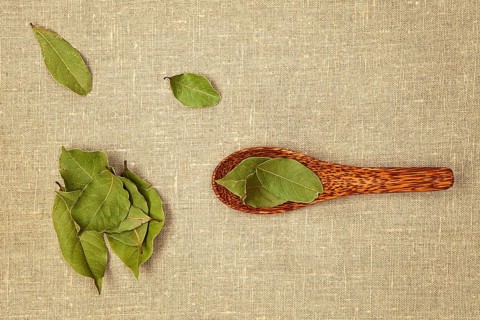 Bay leaves on wooden spoon on natural background - top view
