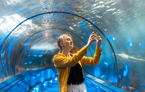 Eine Frau in einem Unterwassertunnel mit Meeresbewohnern