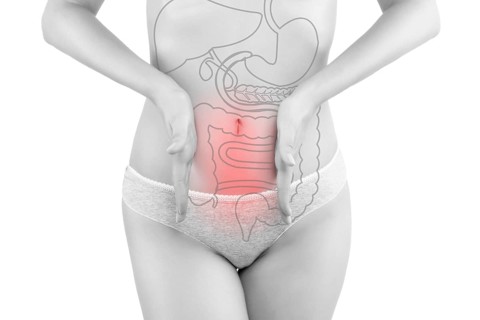 Intestine pain. Beautiful woman photography isolated on white background with inner organs