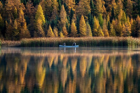Prairie colors in fall yellow orange trees canoe calm