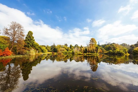 Royal Botanic Gardens Victoria on a cool autumn morning in Melbourne, Victoria, Australia