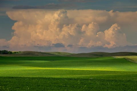 Summer Storms in the Canadian Prairies Dramatic Scenes