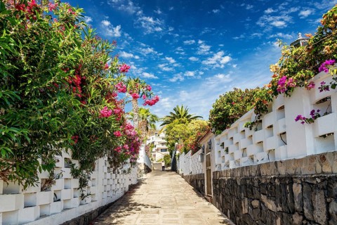 Flowered alley street in los gigantes residential area tenerife spain