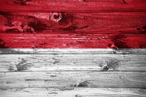Indonesia flag on wooden planks background wood flag