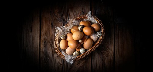 Fresh eggs straight from the farm in a basket