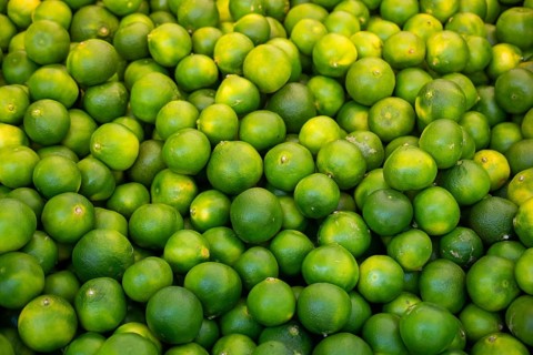 Freshly picked green tangerines mandarines, clementines, as Citrus fruit background