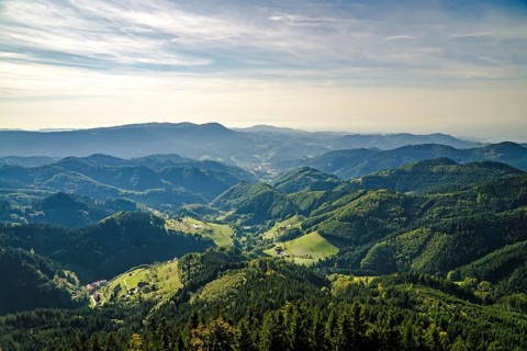 Wunderschöne Schwarzwaldlandschaft im Hochsommer