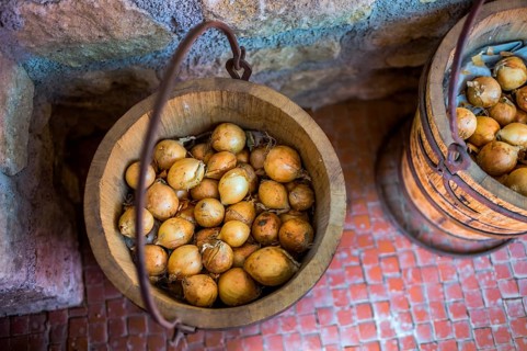 Onions are stored organically in old wooden tubs Austria