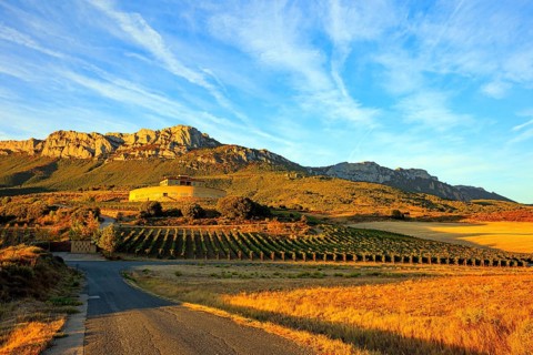 Bright flaming colors of the sunset. The magnificent Bodegas Ysios. Journey to the warm Spanish