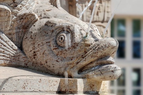 The Villersbrunnen fountain on Tröndlinring in Leipzig, close-up of a fish head in the centre of