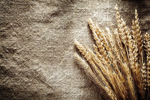 Rye ears on sacking background