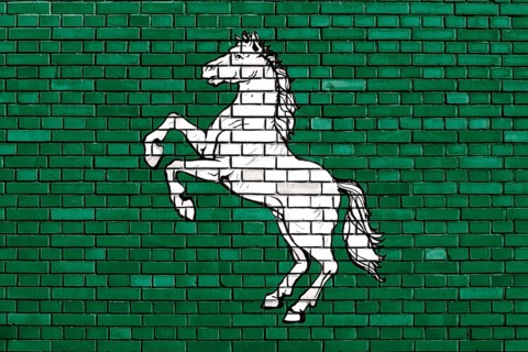 Flag of Tomsk painted on brick wall