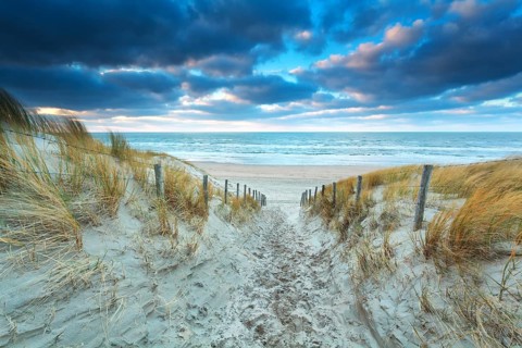 Path on sand to beach at sunset, North Holland, Netherlands