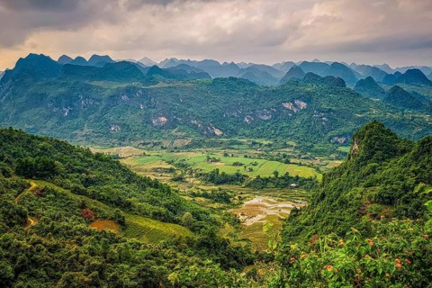 Typical Vietnamese landscape in spring with green vegetation