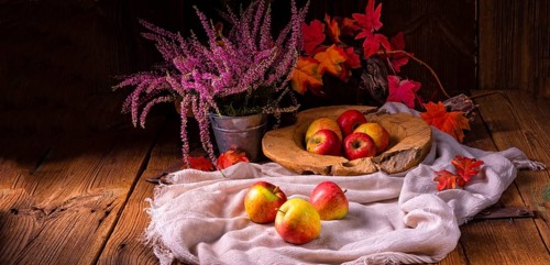 Malus sylvestris, der leckere europäische Krabbenapfel