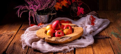 Malus sylvestris, der leckere europäische Krabbenapfel