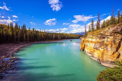 Athabasca River in the Rocky Mountains of Canada. Magnificent landscape in Jasper Park. Indian