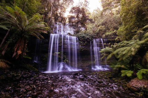 The majestic Russell Falls in Mt Field National Park on a cold spring afternoon in Tasmania,