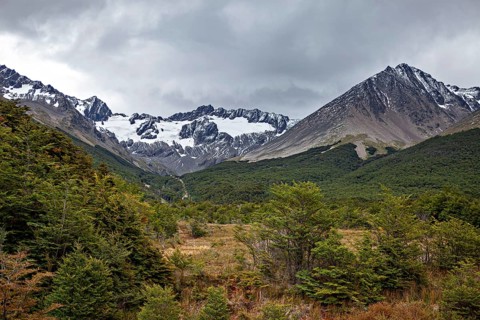 Mountain landscape with glacier and dense forest under a cloudy sky, The jungle of Tierra del Fuego