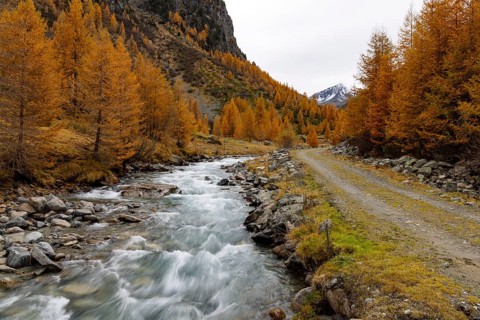 Wild Susasca, torrent below the Flüela Pass, Val Susaca, S-chanf, Engadin, Graubünden, Switzerland