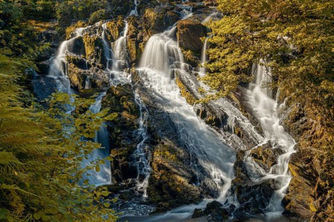A view of the Swallow Falls waterfall in Anglesey in northern Wales surrounded by lush green summer