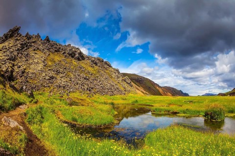 The picturesque valley in Landmannalaugar national park. Green grass among the thermal springs.