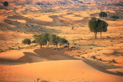 Rub al Khali Desert (Rub al Khali), Ras al Khaimah (Ra's al-Chaima), United Arab Emirates