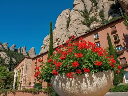 Large flower pot with red flowers in front of historic buildings and mountains under a blue sky,
